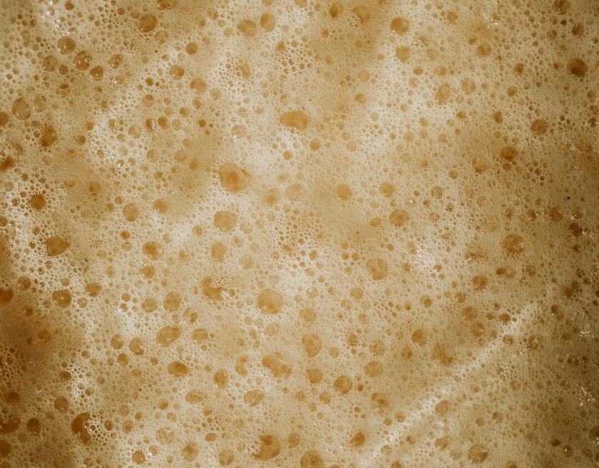 Fermentation