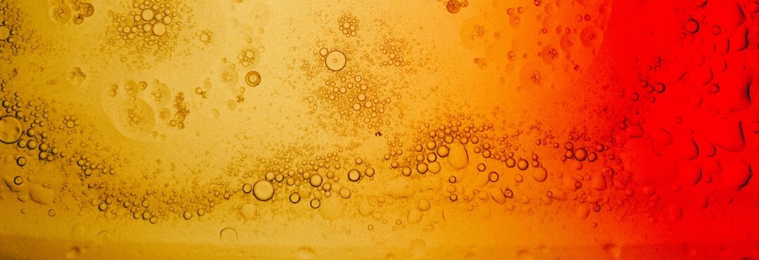 Extraktion und Mazeration