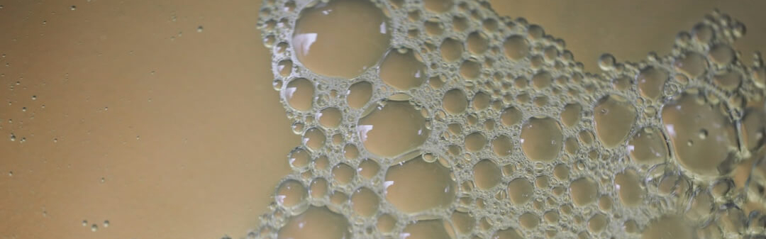 Kombucha Produktentwicklung